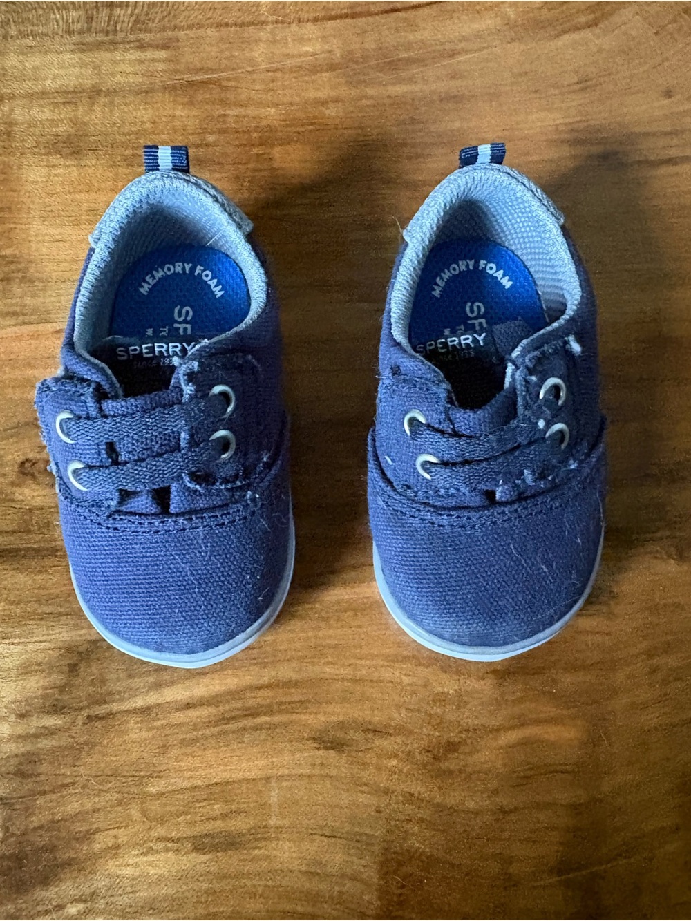 Sperry Toddler Navy Canvas Slip-On Boat Shoes